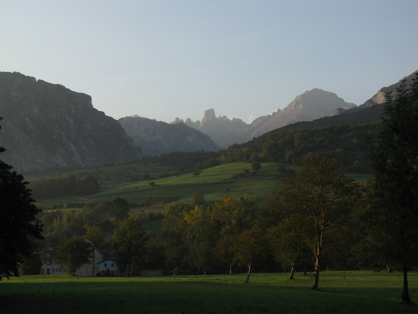 IMG_8090