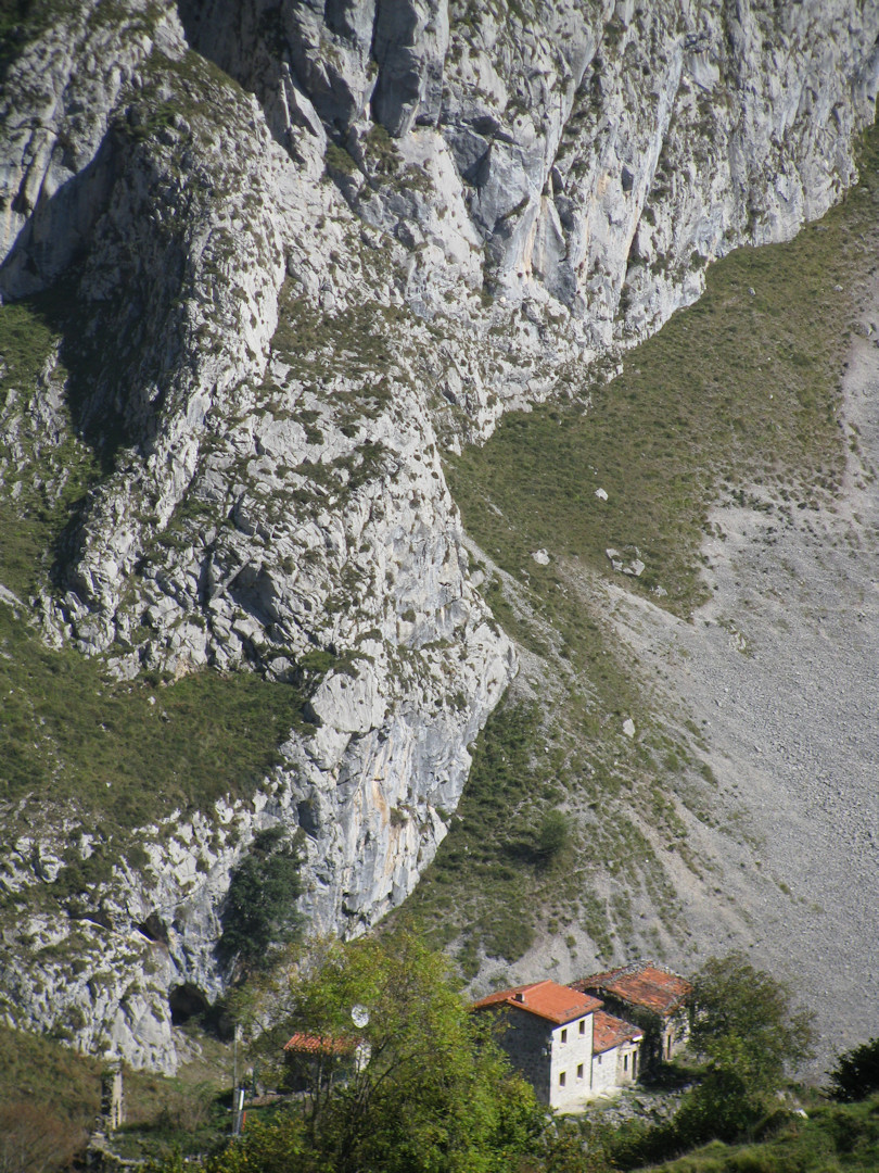 IMG_8103