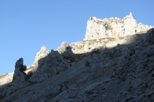 IMG_8007