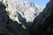 IMG_8040