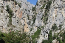 IMG_8053
