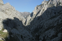IMG_8087
