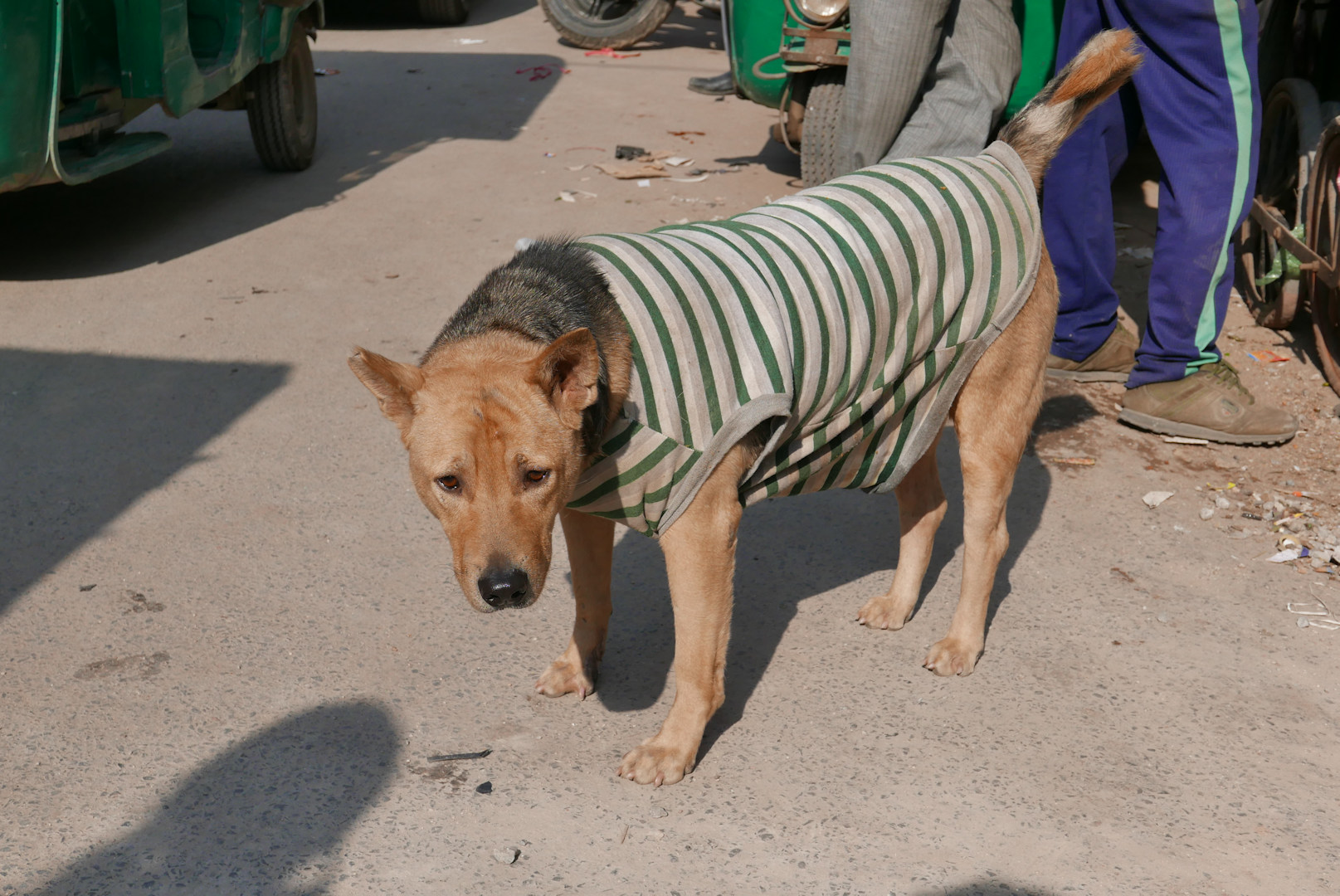 Delhi - Paharganj
