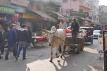 Delhi - Paharganj