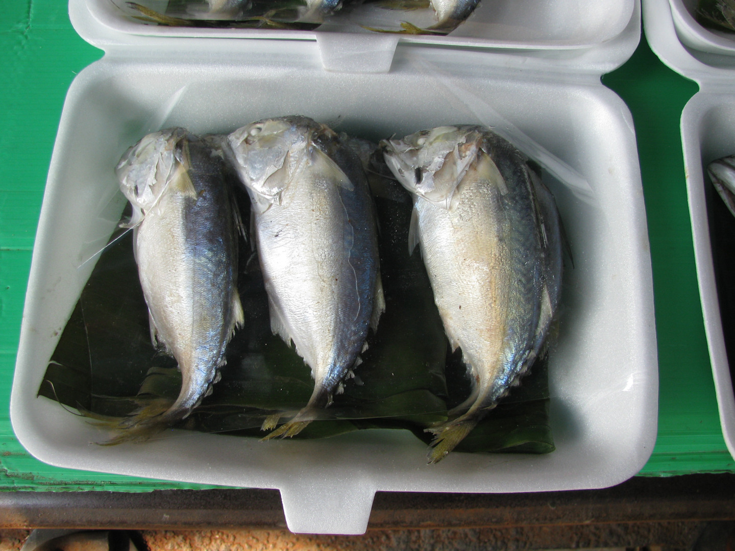Tajlandia - Maeklong Railway Market