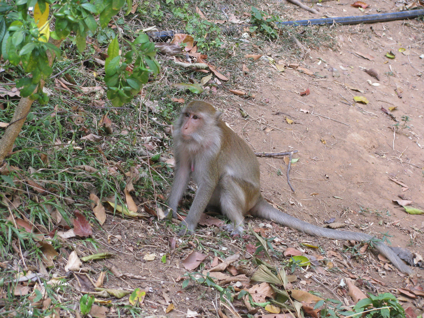 Tajlandia - Railay