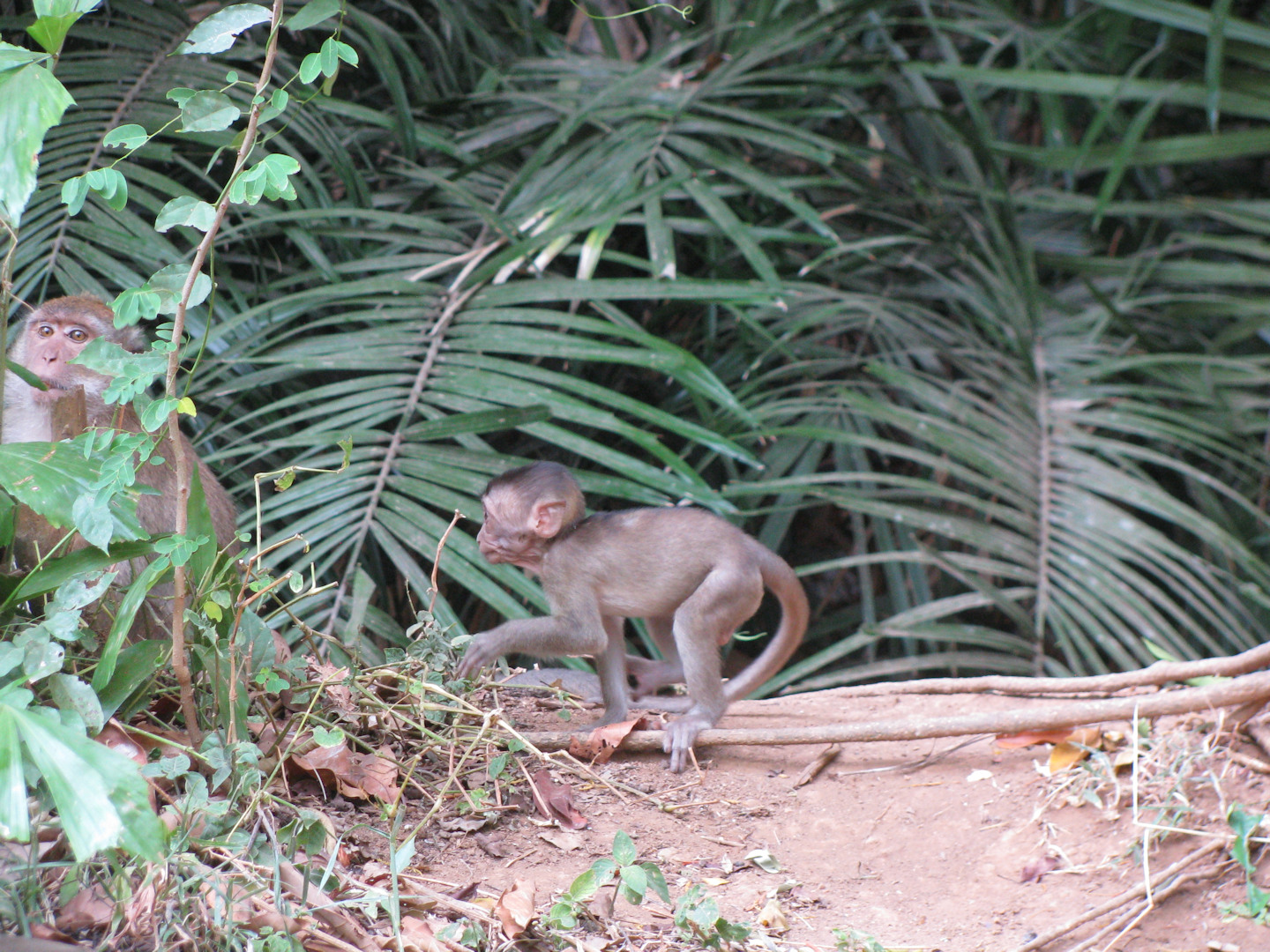 Tajlandia - Railay