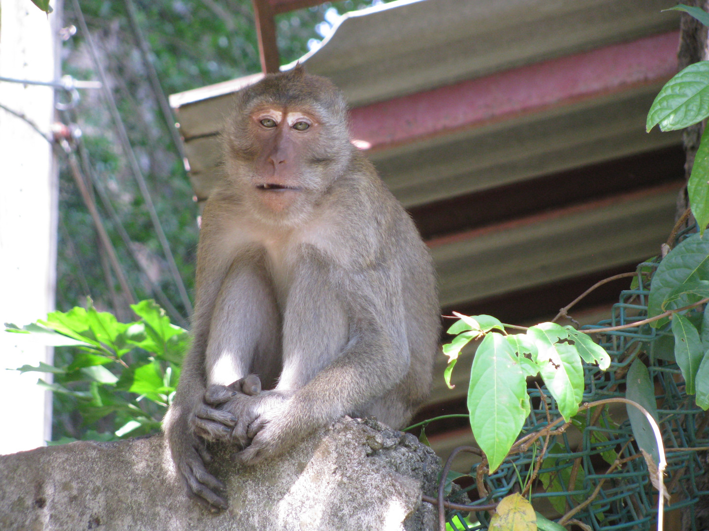 Tajlandia - Railay