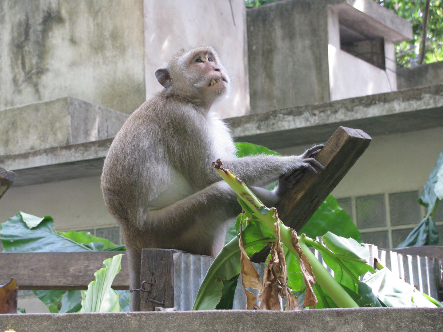 Tajlandia - Railay