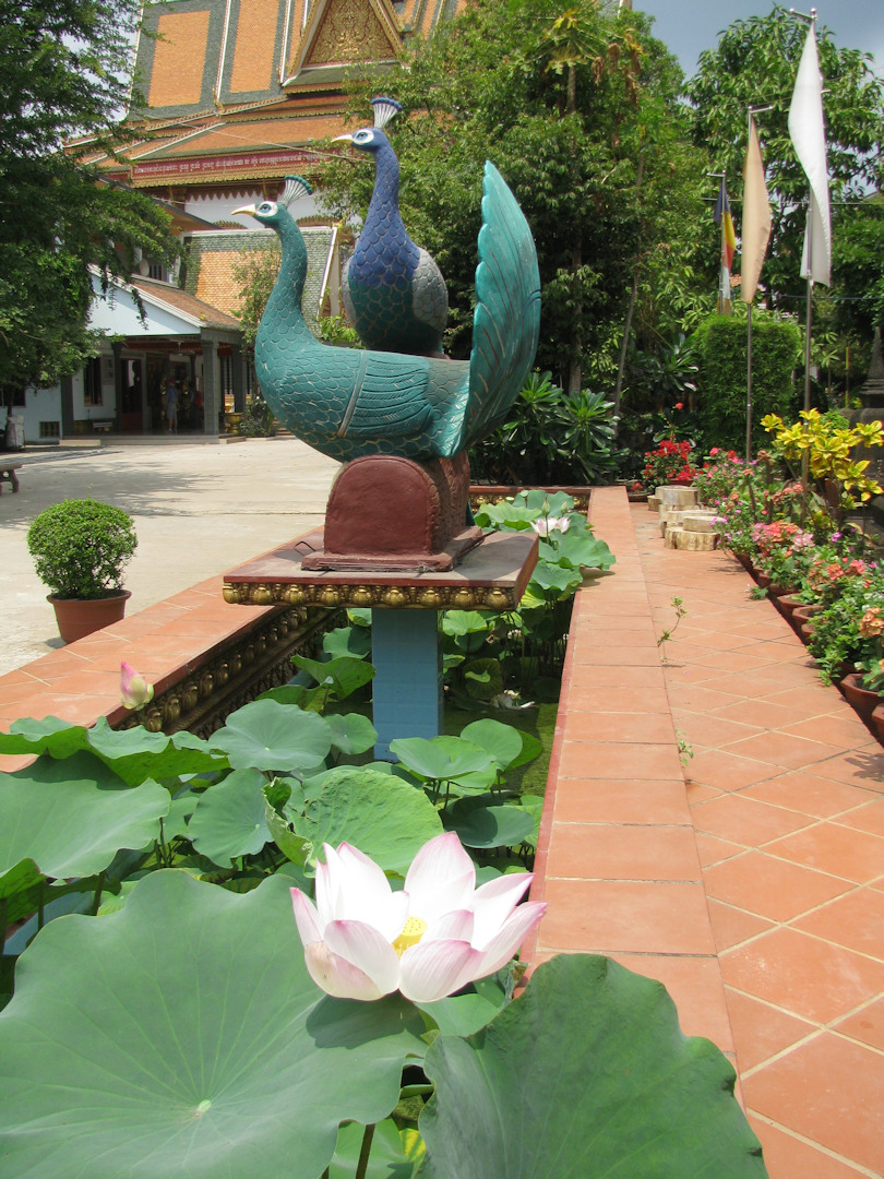 Kambodża - Siem Reap