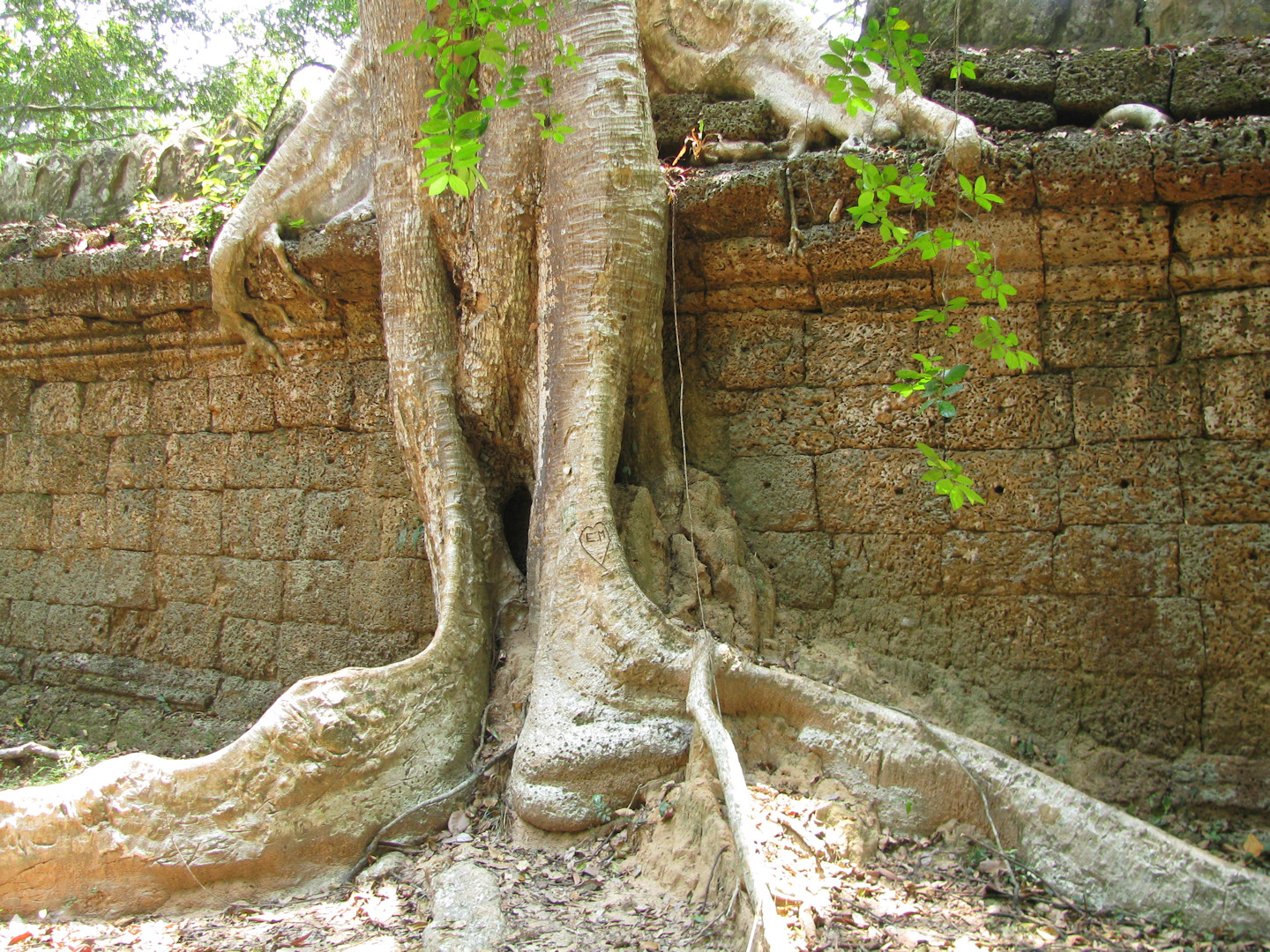 Kambodża - Anghor