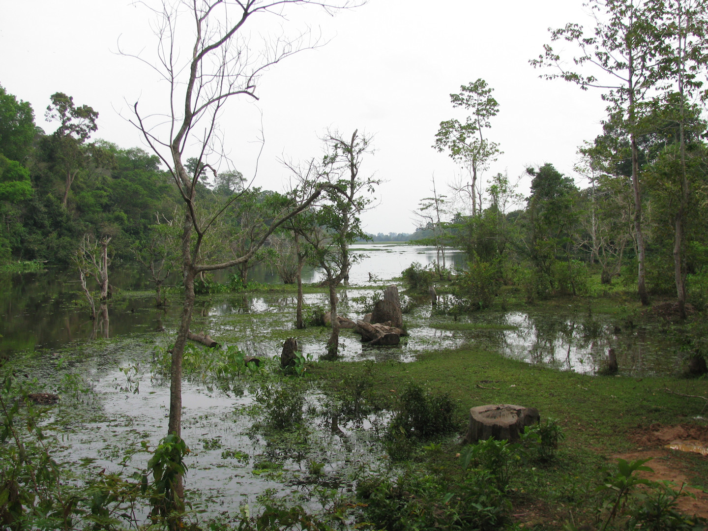 Kambodża - Anghor