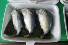 Tajlandia - Maeklong Railway Market