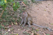 Tajlandia - Railay