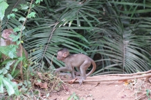 Tajlandia - Railay