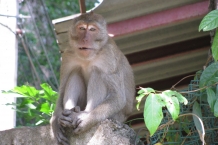 Tajlandia - Railay