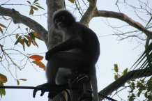 Tajlandia - Railay