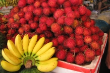 Kambodża - Siem Reap