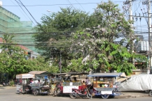 Kambodża - Siem Reap
