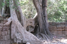 Kambodża - Anghor