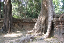 Kambodża - Anghor