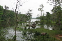 Kambodża - Anghor