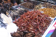 Tajlandia - Bangkok