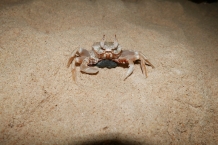Tajlandia - Wyspa Koh Ngai