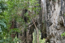 Tajlandia - Railay