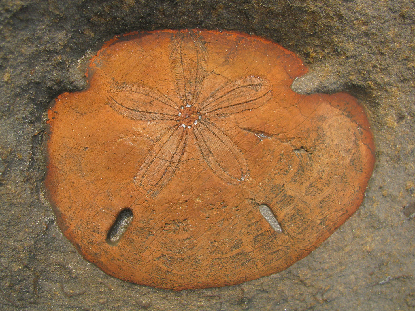 Yehliu