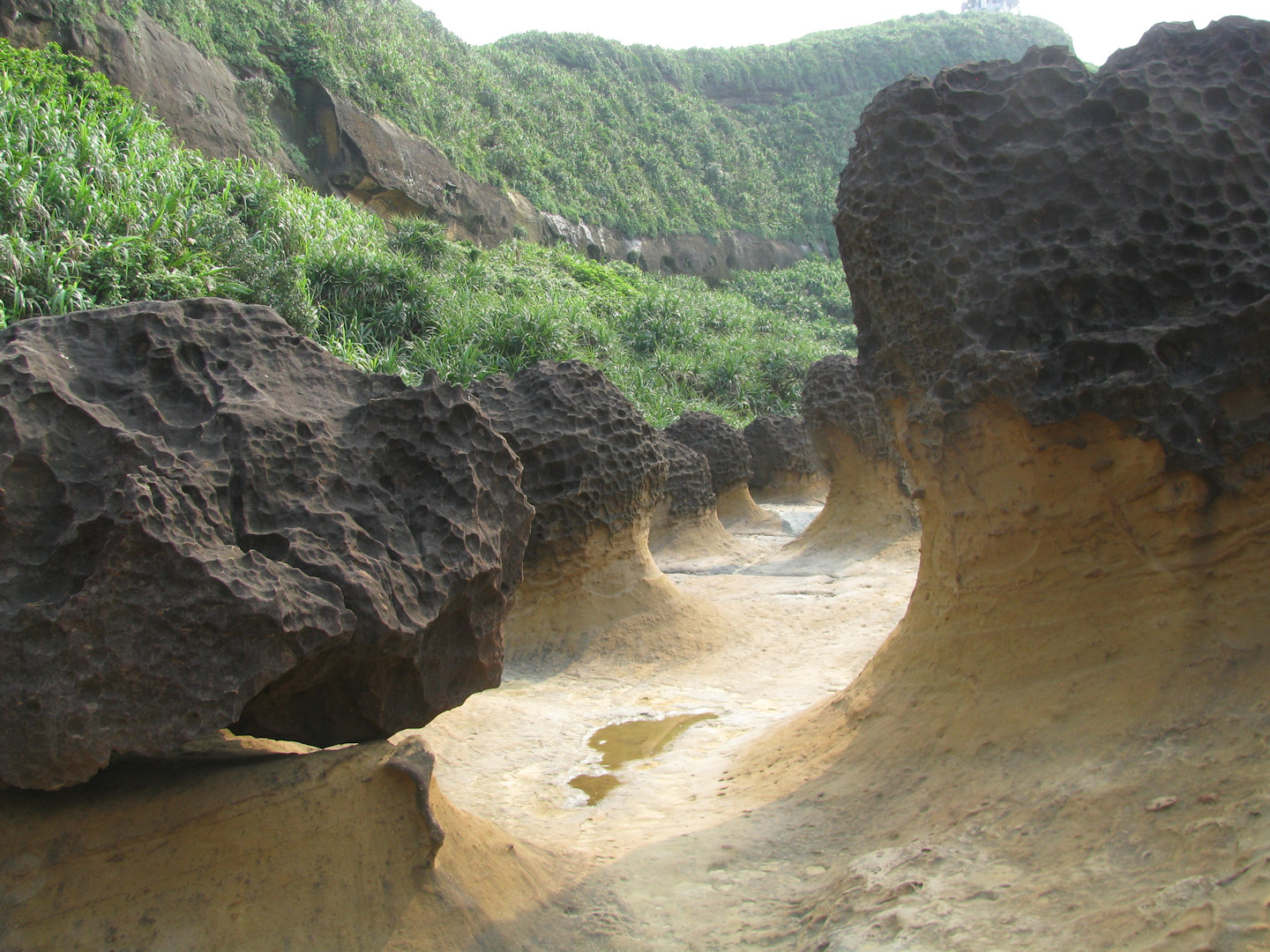 Yehliu