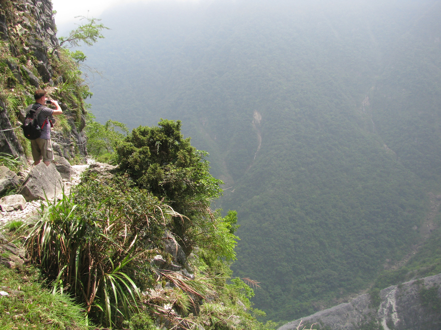 Taroko