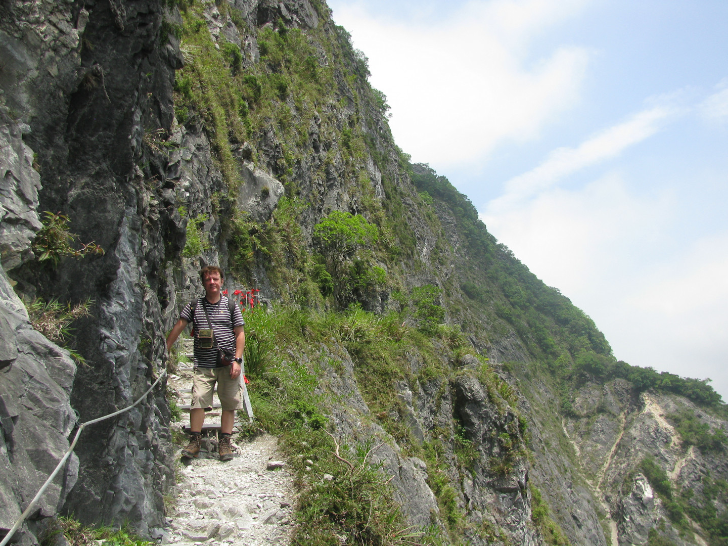 Taroko