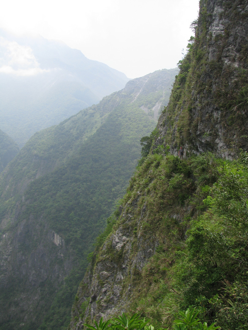 Taroko