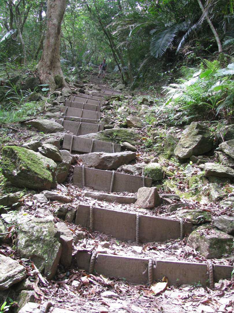 Taroko