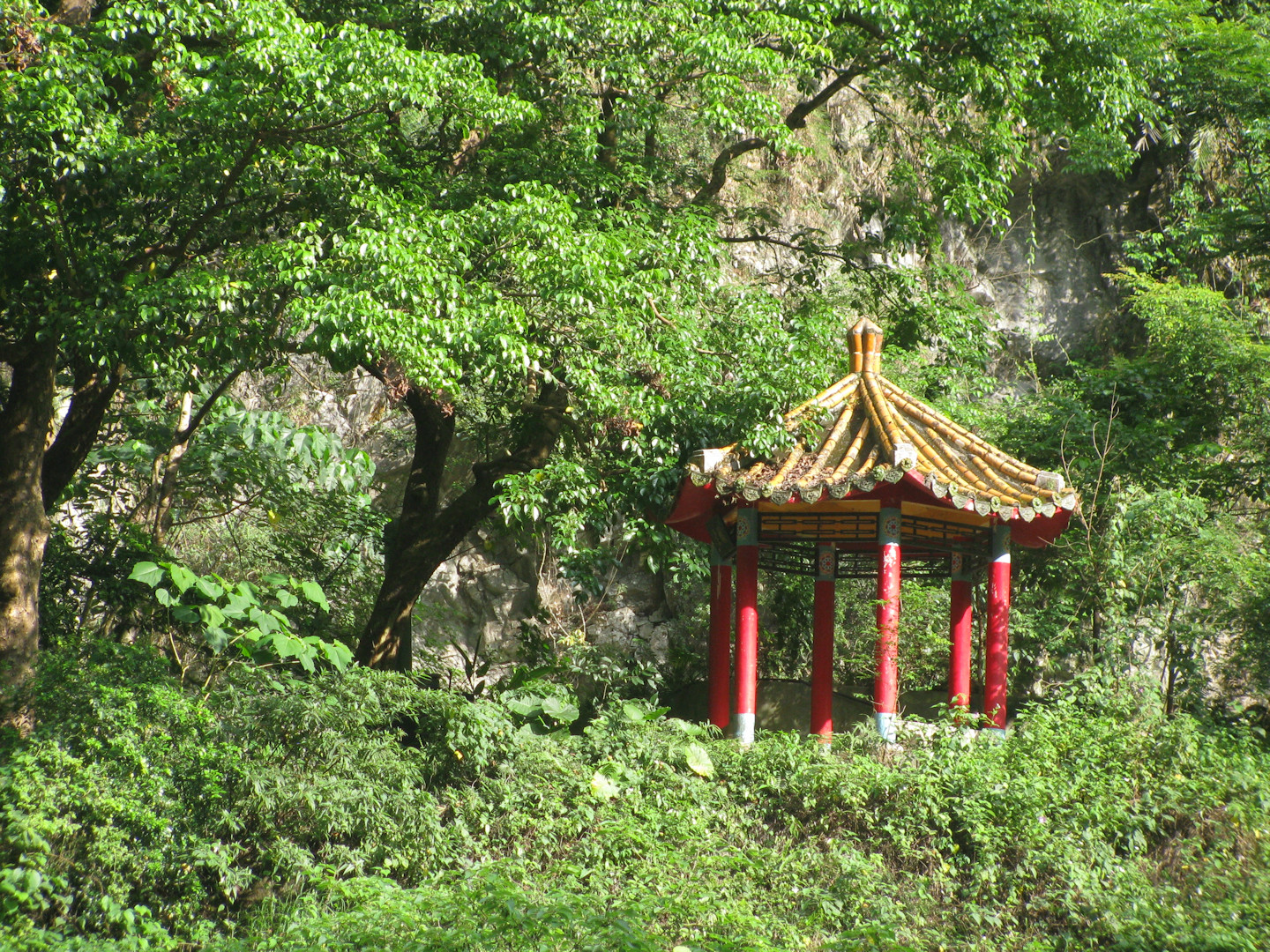 Taroko