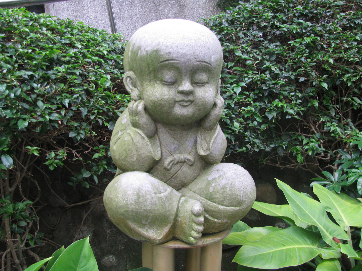 Fo Guang Shang