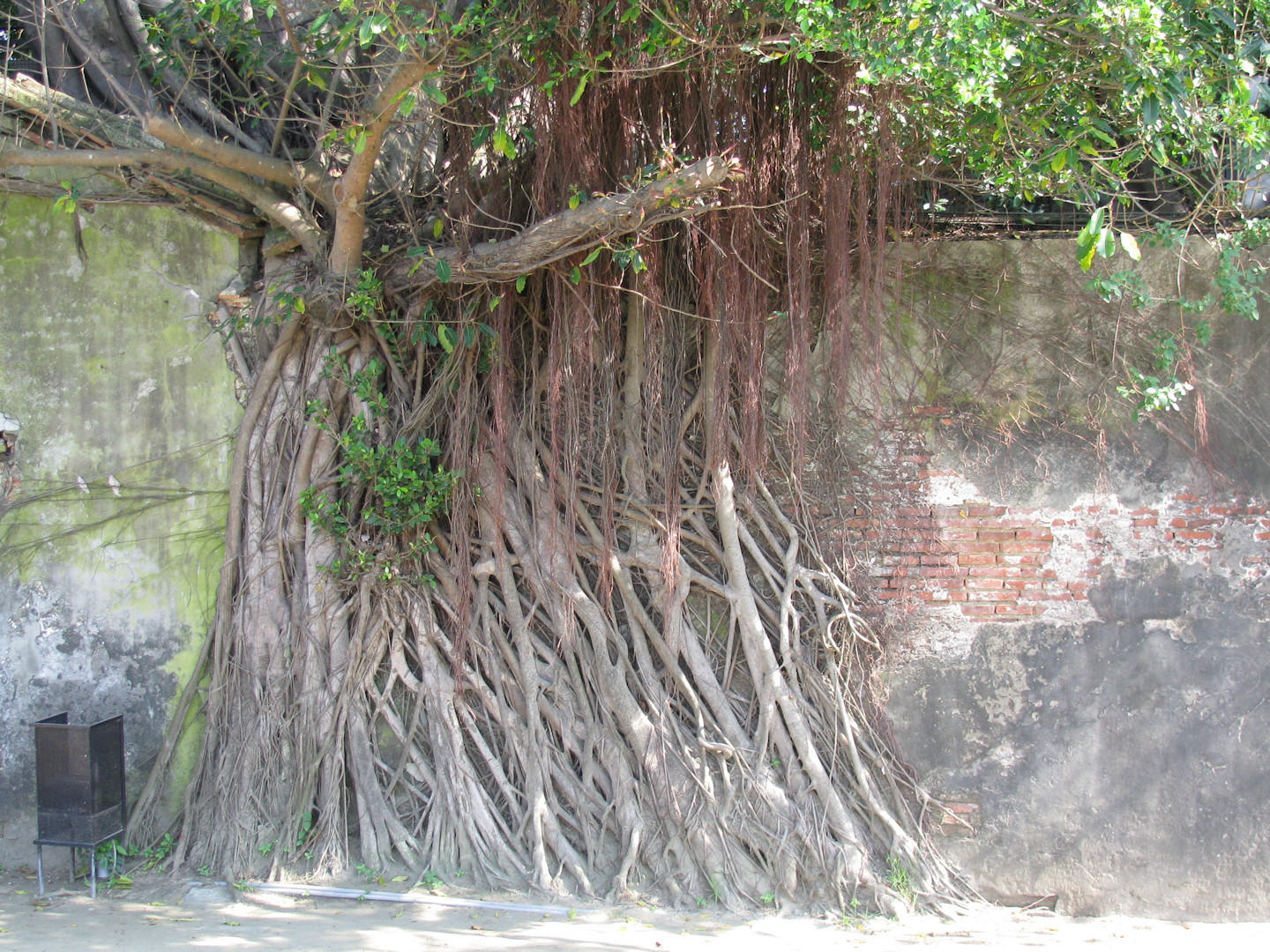 Tainan
