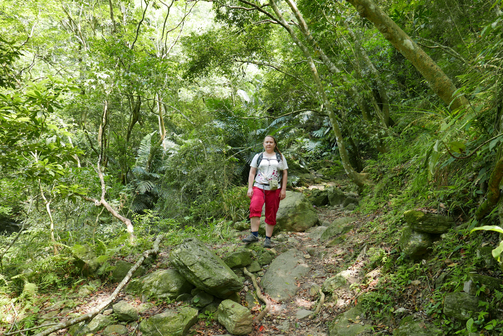 Taroko
