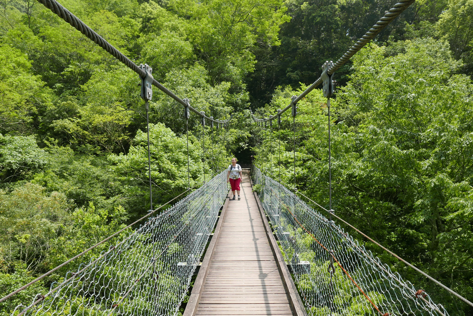 Taroko