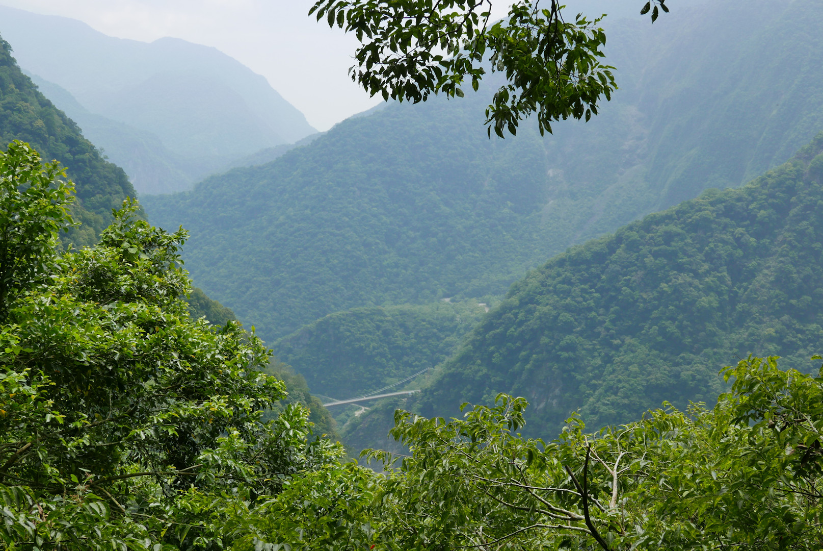 Taroko