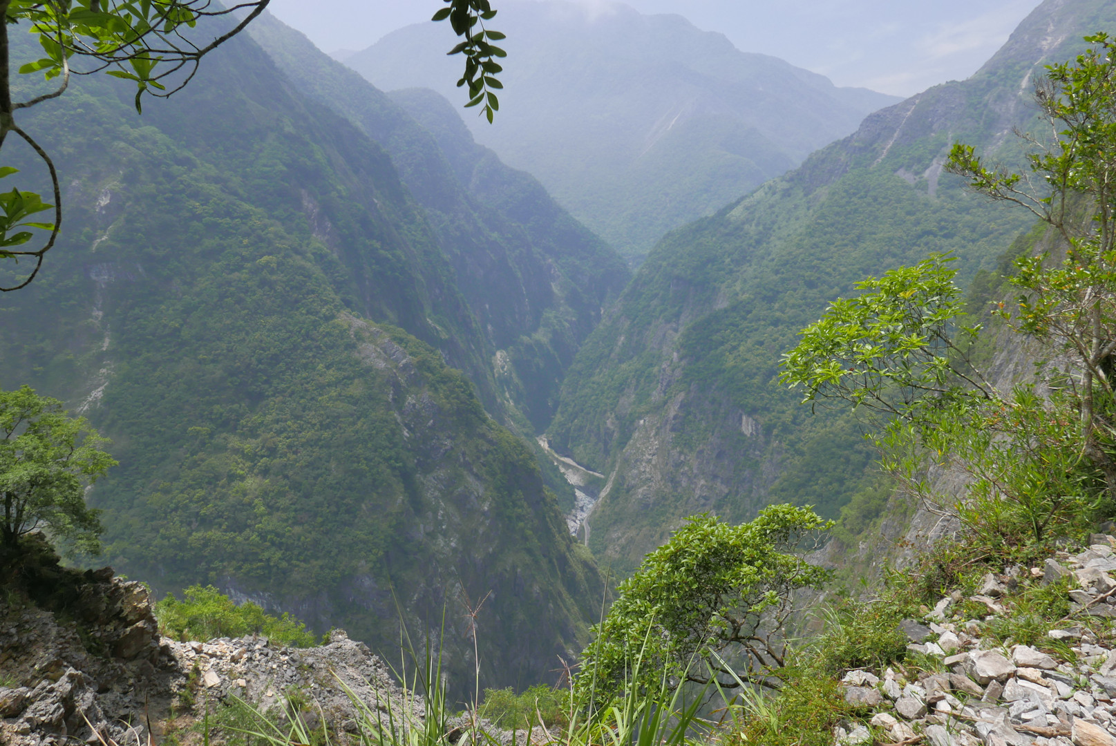Taroko