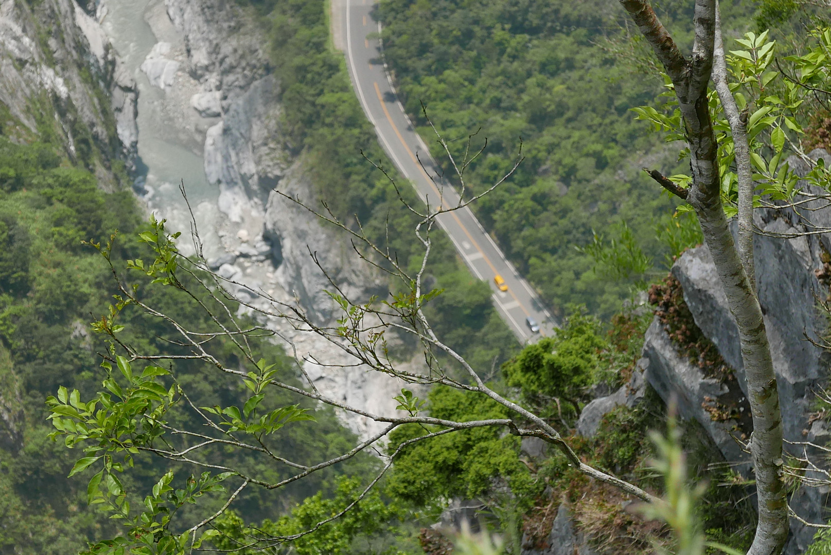 Taroko
