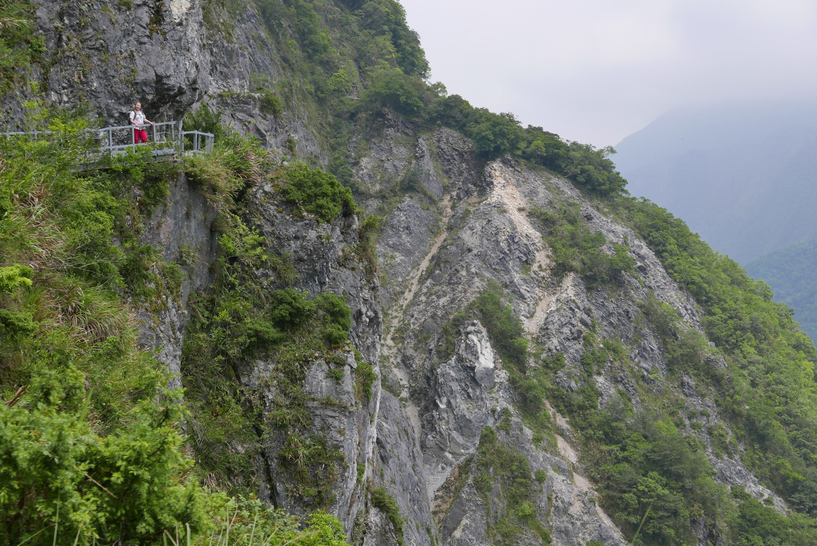 Taroko