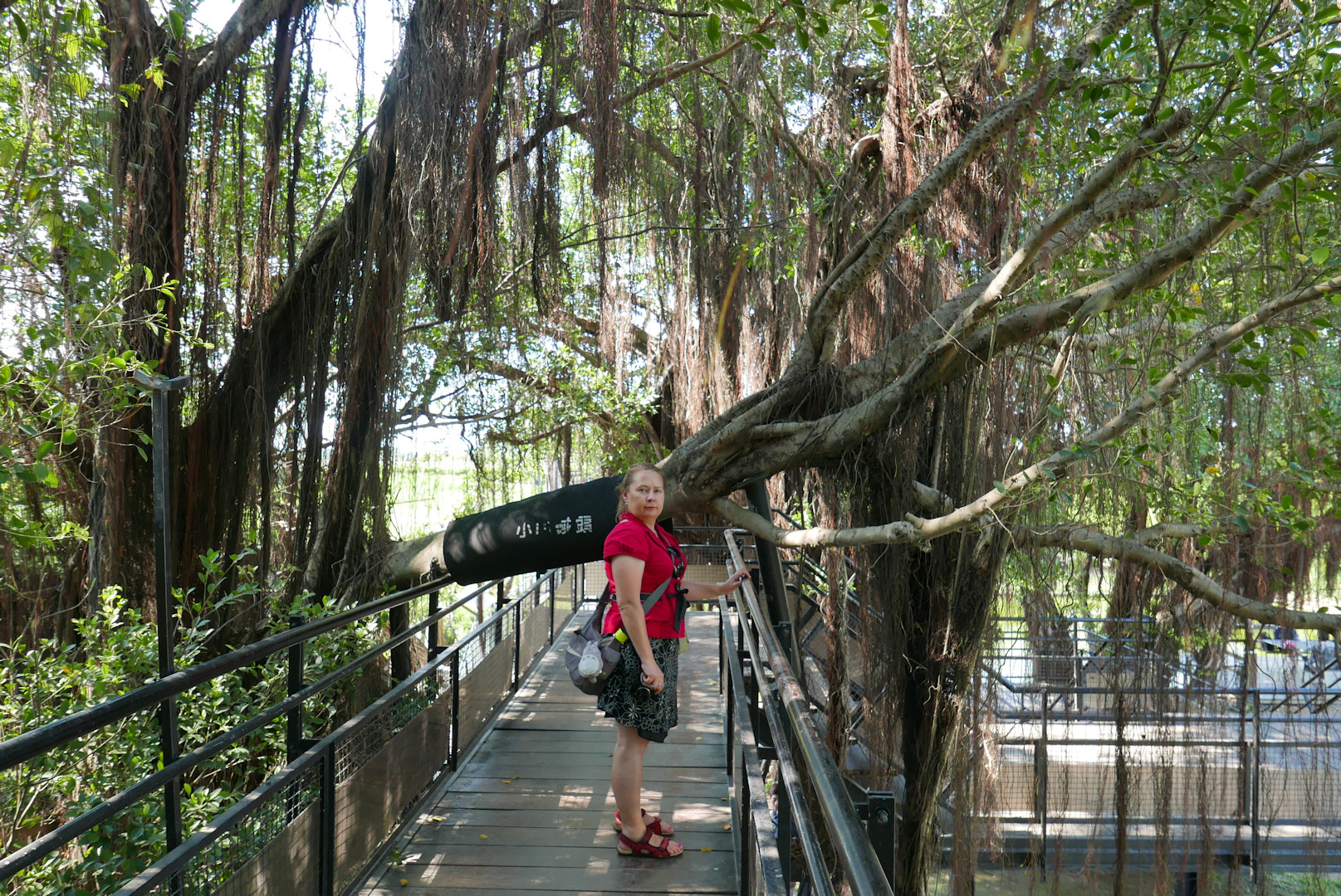 Tainan