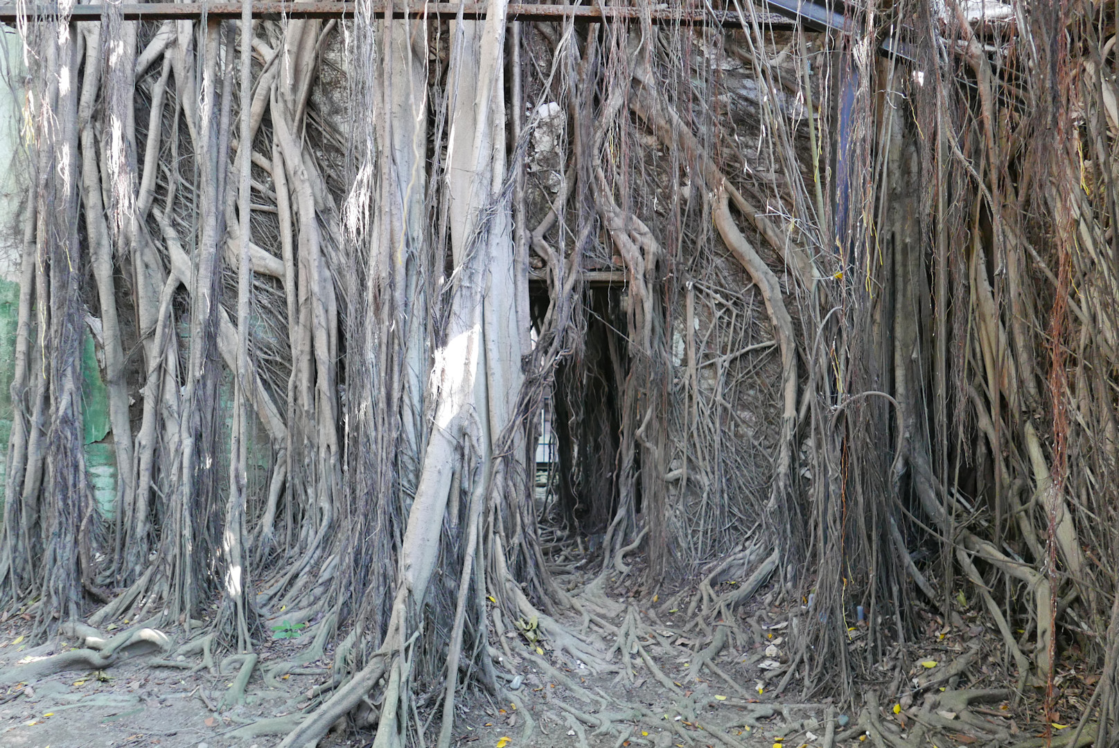 Tainan