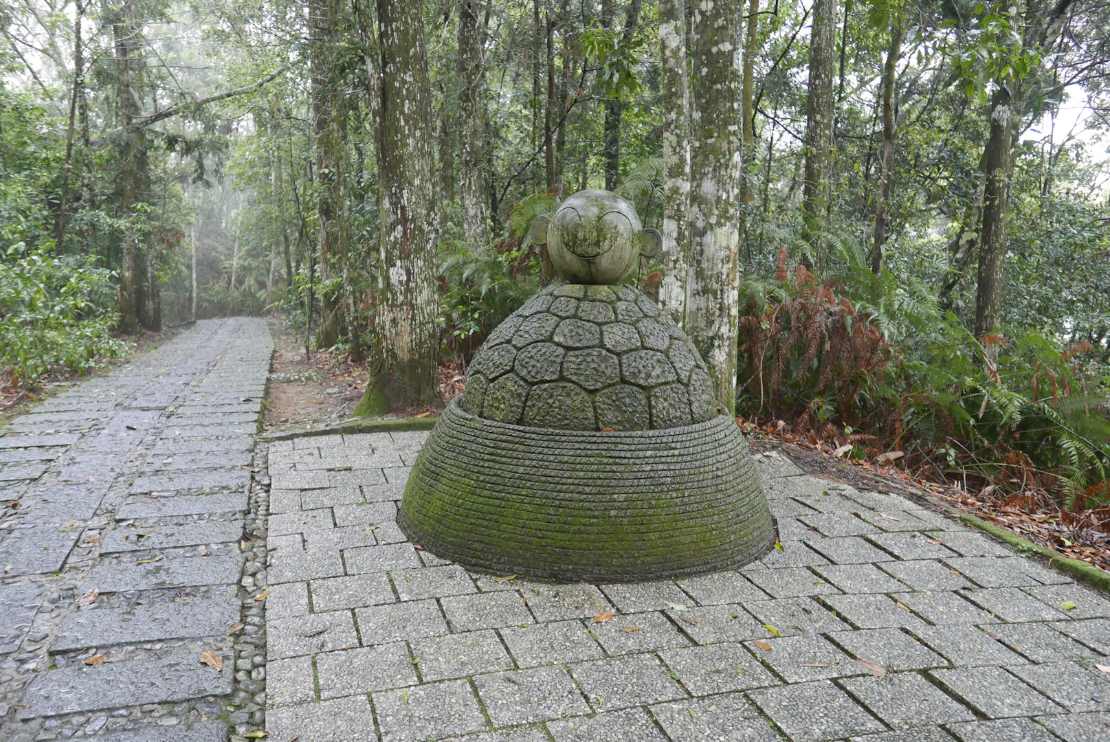 P1070547