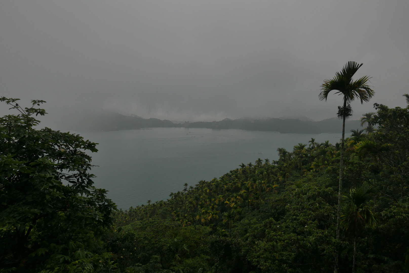 P1070553