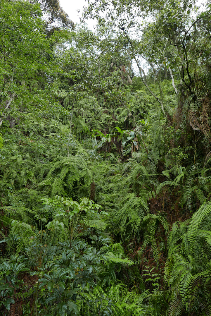 P1070721