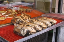 Tajpej